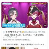 宝鐘マリンが人気の理由は？ファンの声を分析