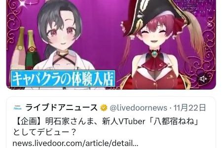 宝鐘マリンが人気の理由は？ファンの声を分析